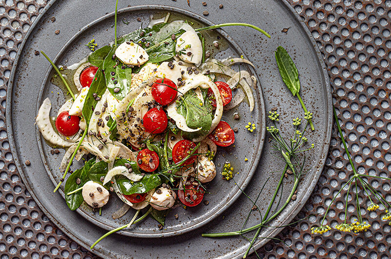 Sauerampfersalat mit Fenchel, Mozzarella, Tomaten und Springkrautsamen