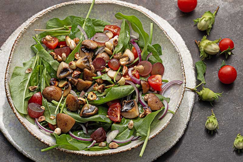 Sauerampfersalat Haselnuesse