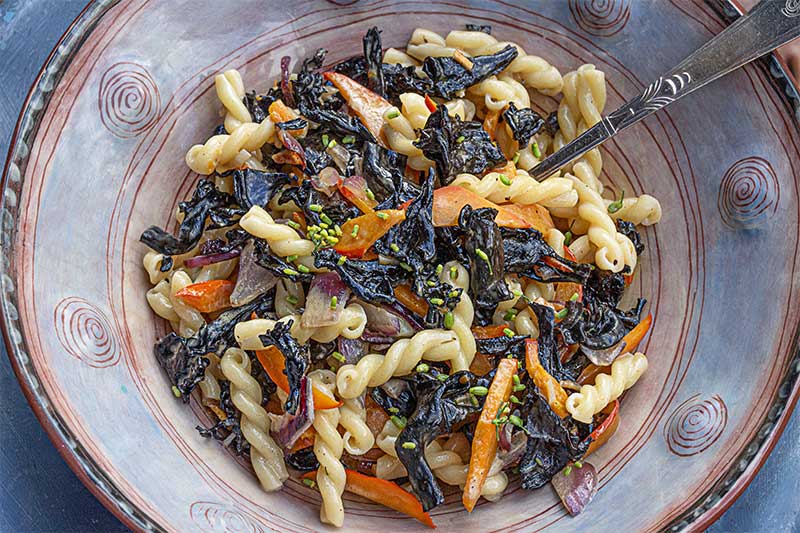 Herbsttrompeten Hokaido Nudeln