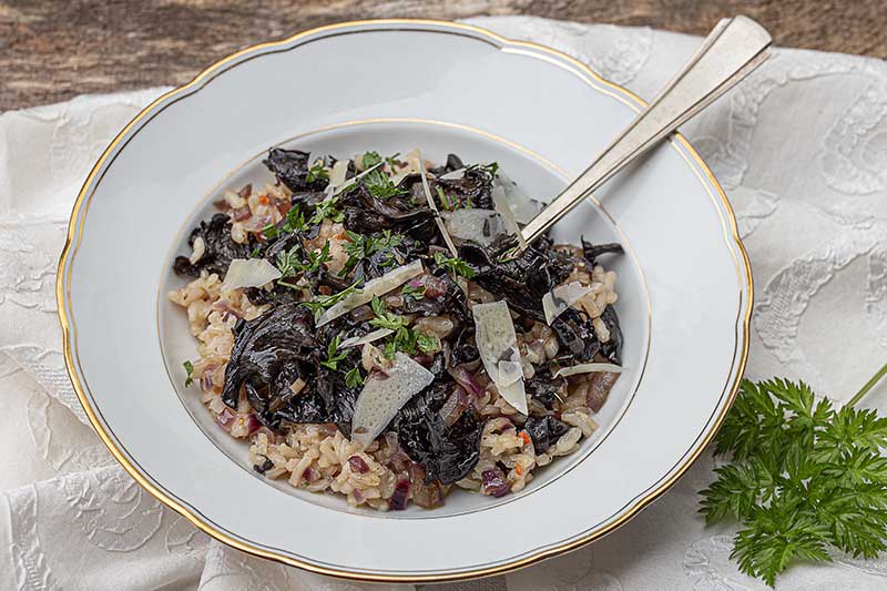 Herbsttrompeten-Risotto