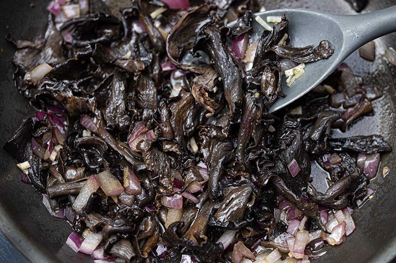 Herbsttrompeten-gebraten