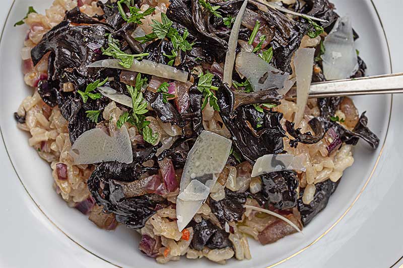 Herbsttrompeten-Risotto