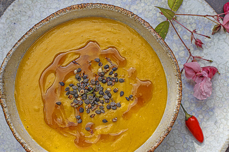 asiatische Kuerbissuppe makro