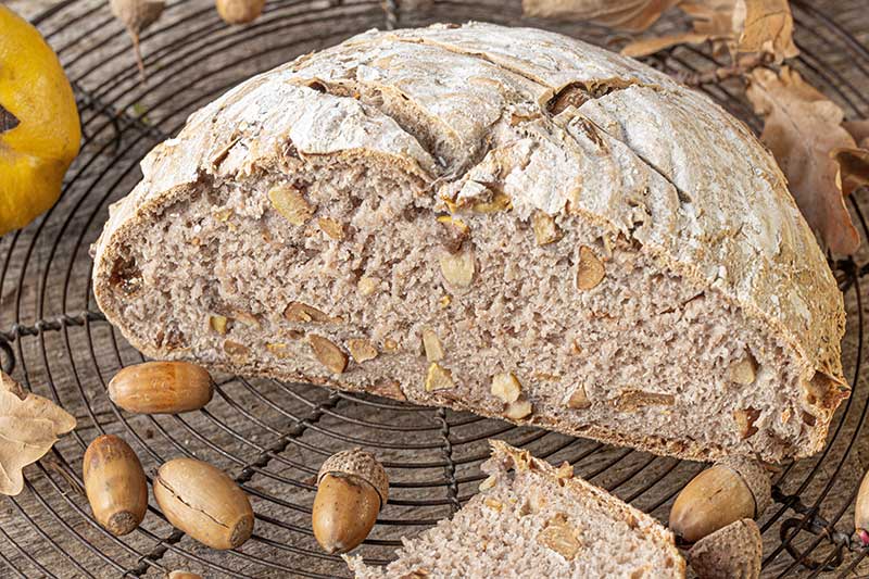 Weizensauerteigbrot mit Eicheln und Quitten – aufgeschnitten