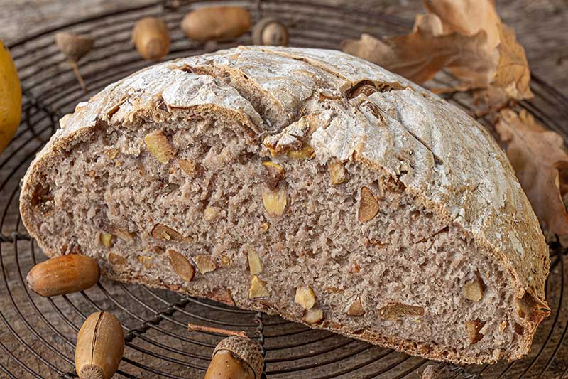 Weizensauerteigbrot mit Eicheln und Quitten – aufgeschnitten
