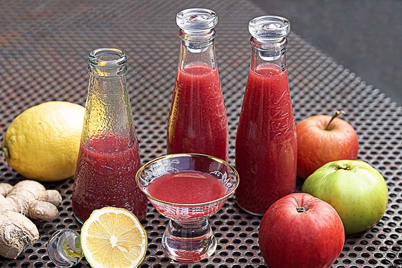 Ingwershot Kirschpflaumensirup