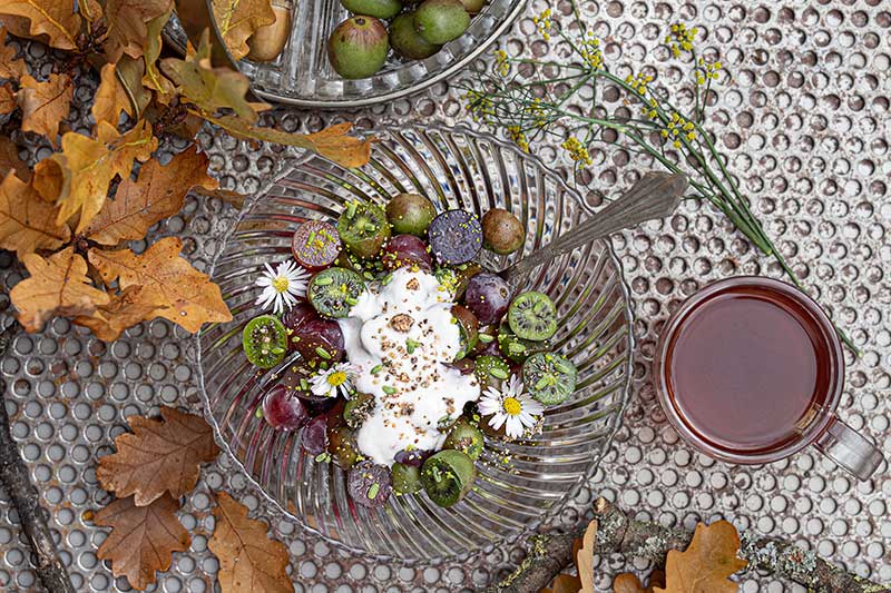 Kiwibeeren Trauben Joghurt