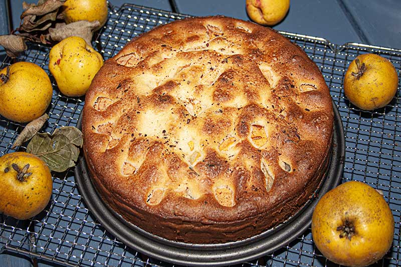 Quittenkuchenversunken