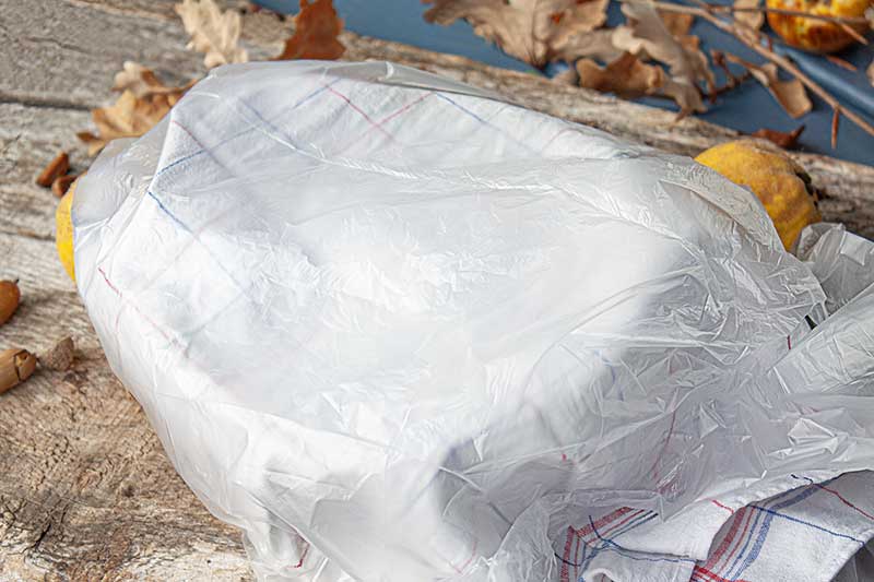 Weizensauerteigbrot mit Eicheln und Quitten – mit Küchentuch und Plastiktüte – geht