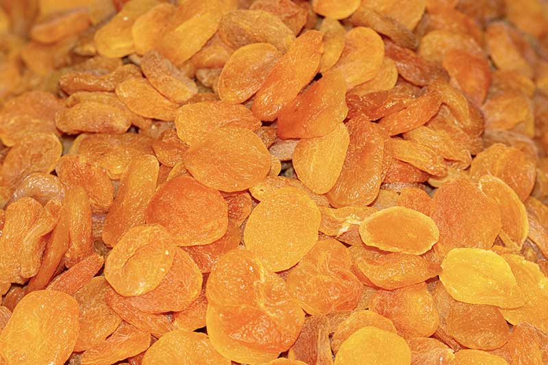 Aprikosen-getrocknet