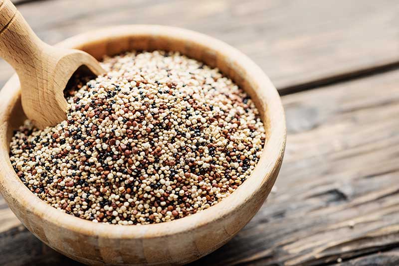 quinoa