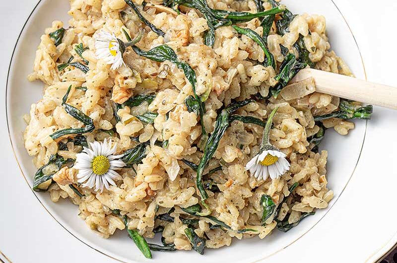 Bärlauchrisotto