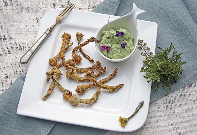 Huflattich Tempura Schaumkraut 2
