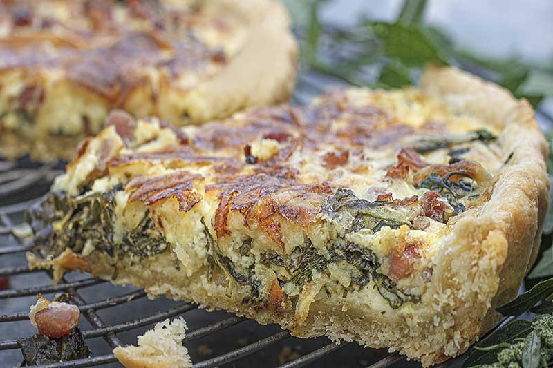 Ackermelde Quiche