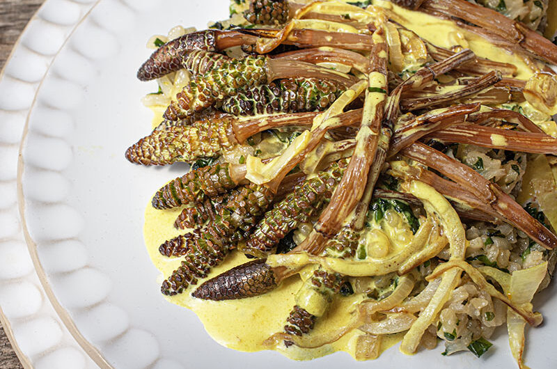 Ackerschachtelhalm-Bärlauchrisotto-2