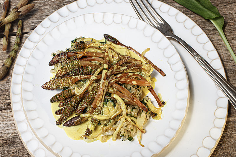 Ackerschachtelhalmgemuese Baerlauchrisotto