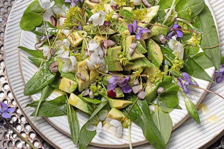 Bärlauch-Sauerampfer-Avocado-makro