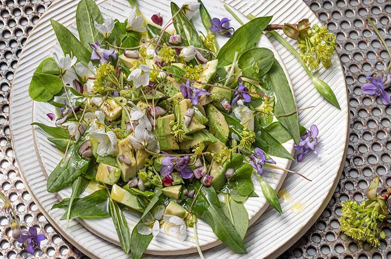 Von der Wiese auf den Teller: ein bunter Wildkräutersalat mit Avocado