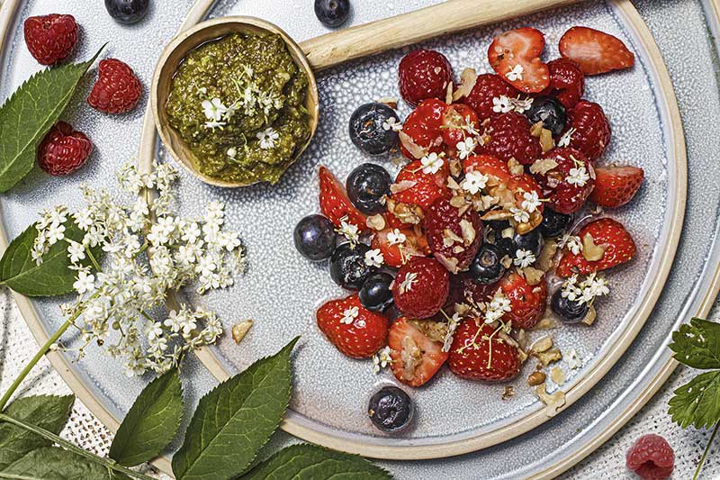 Beerensalat Holunderbluetenpesto