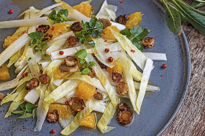 Chicoreesalat mit Nachtkerzenwurzelchips 3