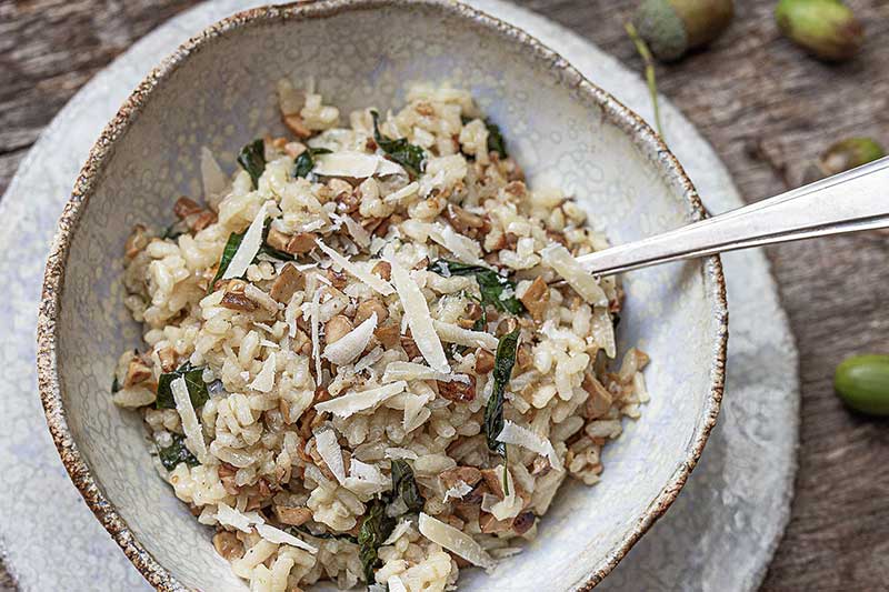 Eichelrisotto