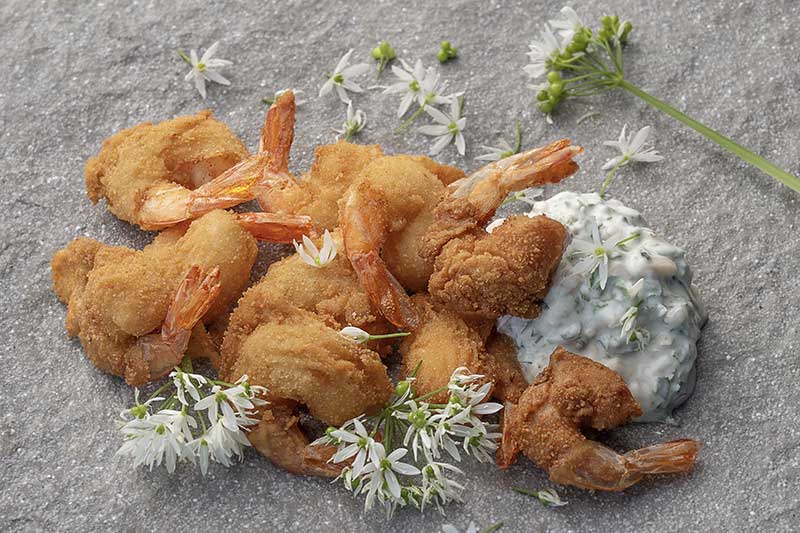 Garnelen Baerlauchbluetendip