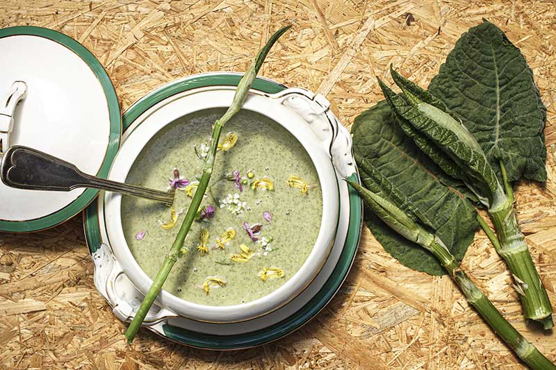 Knoeterich Cremesuppe