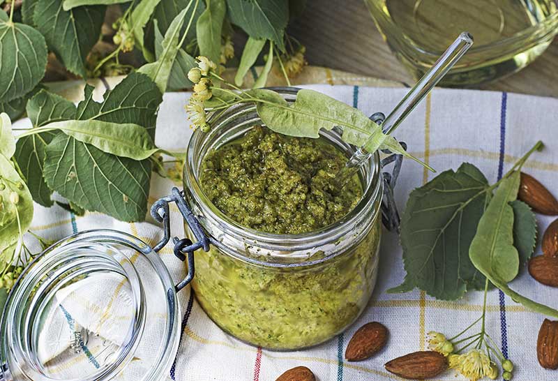 Lindenblueten Pesto