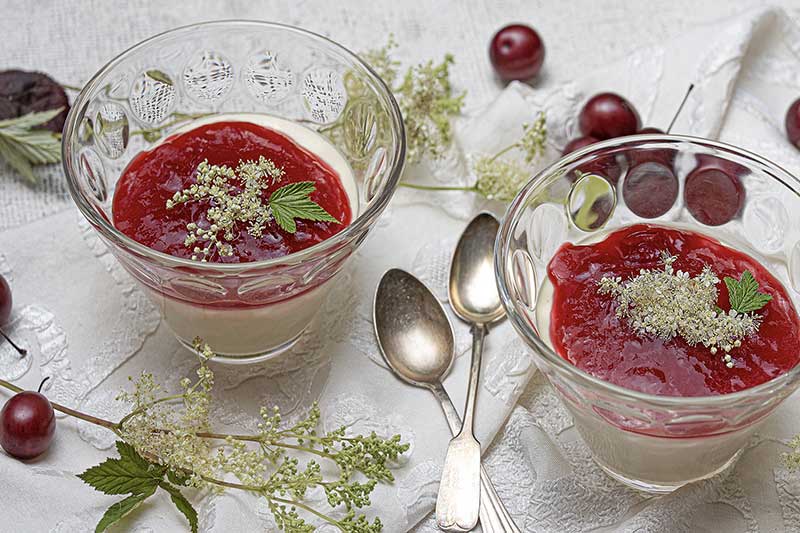 Maedesuessmousse Kirschpflaume