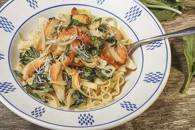 Schwefelporling Breitwegerich Nudeln