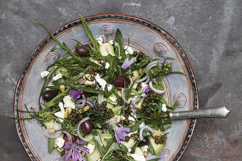 Wiesenpippausalat Avocado