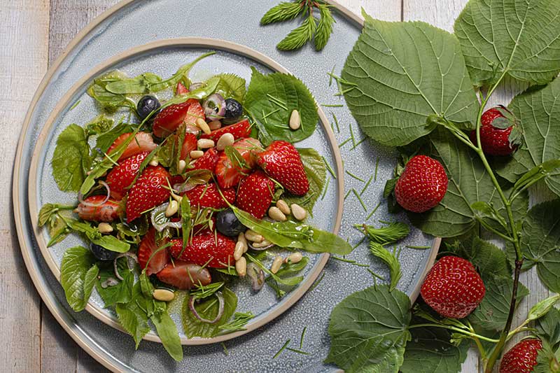 Erdbeersalat-Lindenblätter