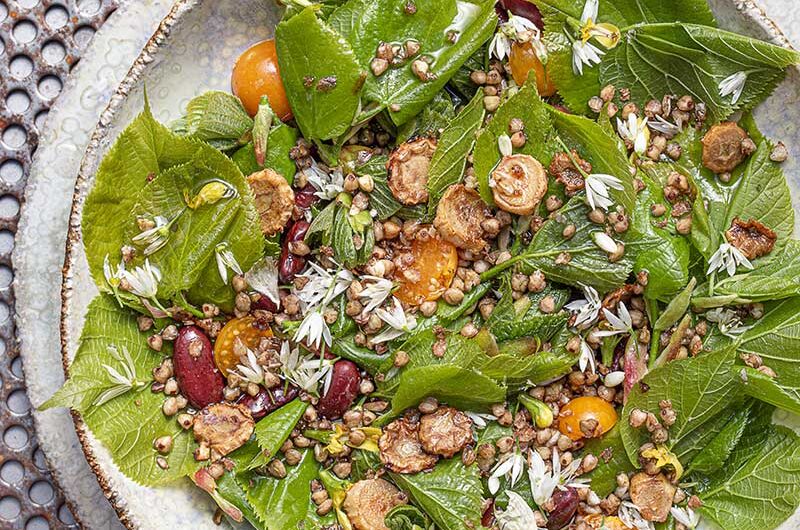 Lindenblattsalat-Buchweizen-Nachtkerzenchips