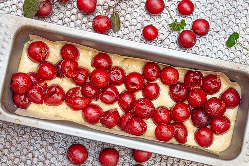 Kirschpflaumenrührkuchen-Früchte