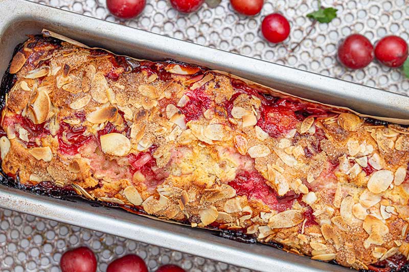 Kirschpflaumenrührkukchen-gebacken