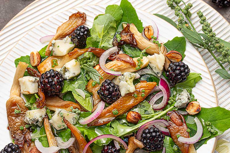 Ackermeldesalat Brombeeren Gorgonzola