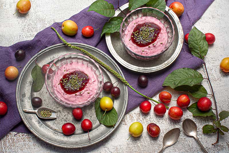 Kirschpflaumenmousse-mit-Kirschpflaumenmus
